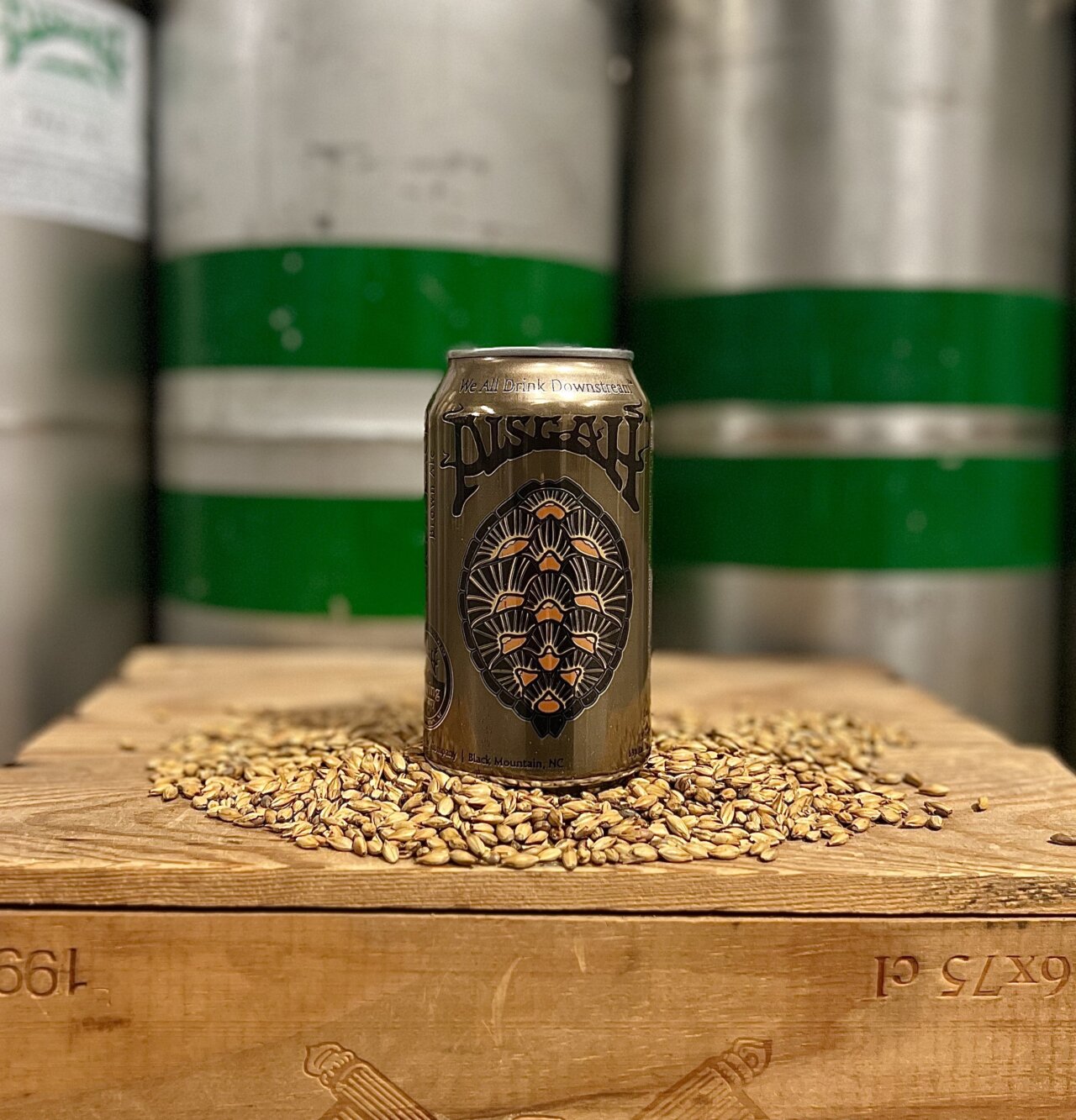 Turtleback Brown Ale Pisgah Brewing Company